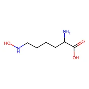 N(6)-hydroxy-L-lysine structure