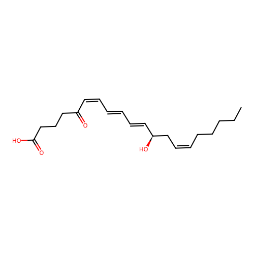 5-oxo Leukotriene B4 structure