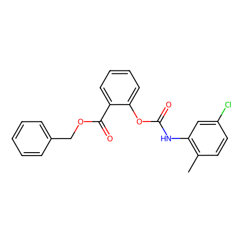 Benzyl 2-{[(5-chloro-2-methylanilino)carbonyl]oxy}benzoate structure