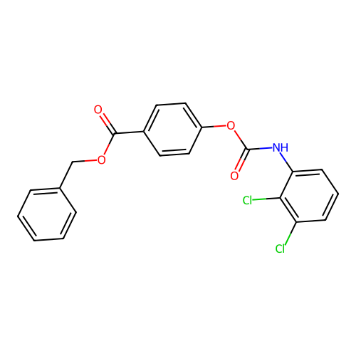 Benzyl 4-{[(2,3-dichloroanilino)carbonyl]oxy}benzoate structure