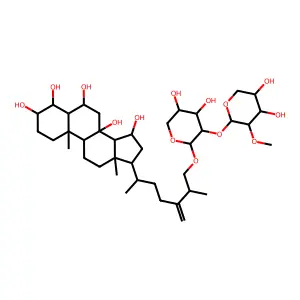 acodontasteroside G structure