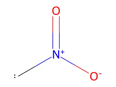 Nitromethylene structure