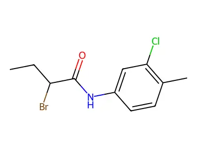 2-bromo-N-(3-chloro-4-methylphenyl)butanamide structure