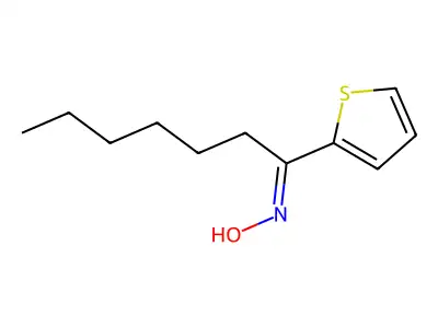 N-[1-(Thiophen-2-yl)heptylidene]hydroxylamine structure