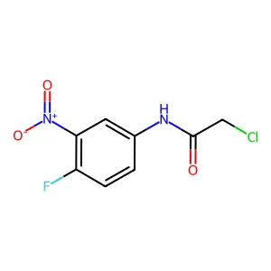 2-chloro-N-(4-fluoro-3-nitrophenyl)acetamide structure