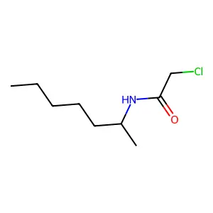 2-chloro-N-(heptan-2-yl)acetamide structure