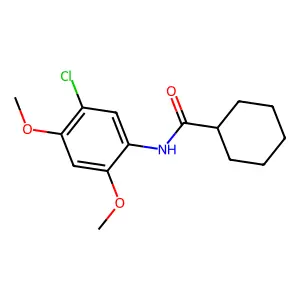 N-(5-chloro-2,4-dimethoxyphenyl)cyclohexanecarboxamide structure