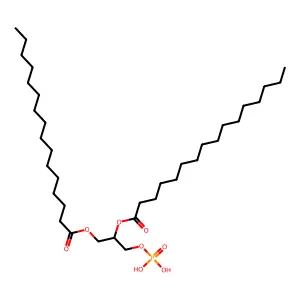 二棕榈酰磷脂酸 structure
