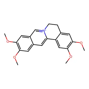 Pseudopalmatine structure