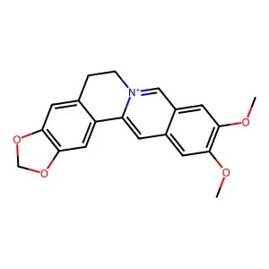 Benzo(g)-1,3-benzodioxolo(5,6-a)quinolizinium, 5,6-dihydro-10,11-dimethoxy- structure