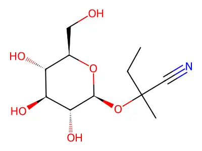 Lotaustralin structure