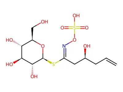 1-S-(3-Hydroxy-N-(sulfooxy)hex-5-enimidoyl)-1-thiohexopyranose structure