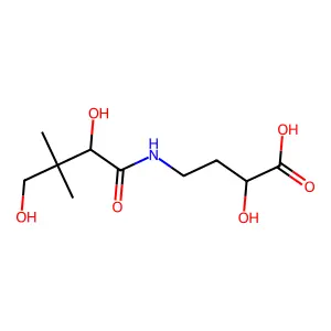 Butyric acid, 4-(2,4-dihydroxy-3,3-dimethylbutyramido)-2-hydroxy- structure