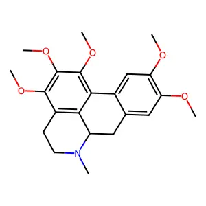 Purpureine structure