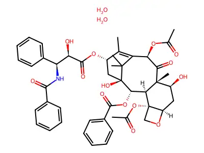 Paclitaxel dihydrate structure