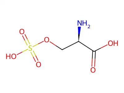 o-sulfoserine structure