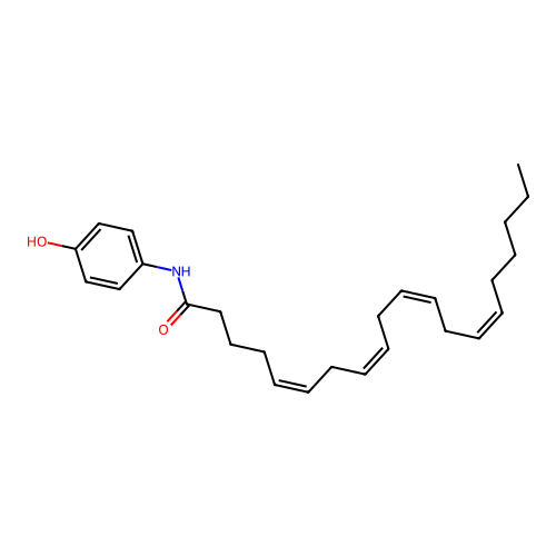 AM404 structure