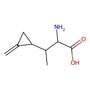 2-Amino-3-(2-methylidenecyclopropyl)butanoic acid structure