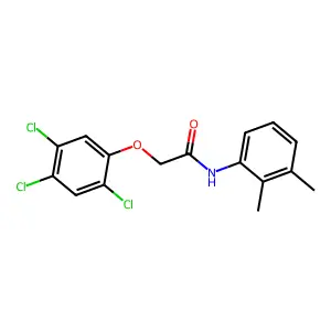 N-(2,3-dimethylphenyl)-2-(2,4,5-trichlorophenoxy)acetamide structure