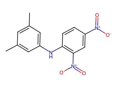 N-(3,5-dimethylphenyl)-2,4-dinitroaniline structure