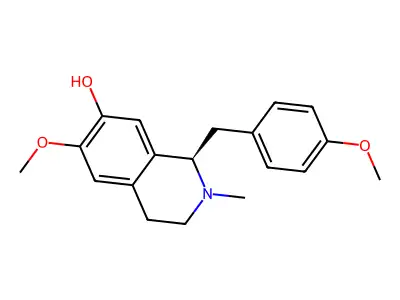 N-Demethylcolletine structure