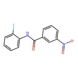 N-(2-氟苯基)-3-硝基苯甲酰胺 structure