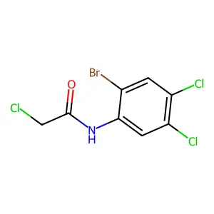 N-(2-溴-4,5-二氯苯基)-2-氯乙酰胺 structure