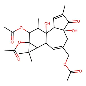 Phorbol 12,13,20-triacetate structure