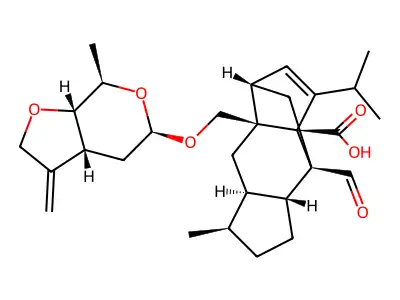 GM 237354 structure