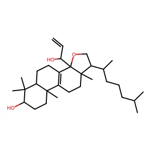 DMP 565 structure