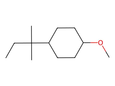 1-Methoxy-4-tert-pentylcyclohexane structure