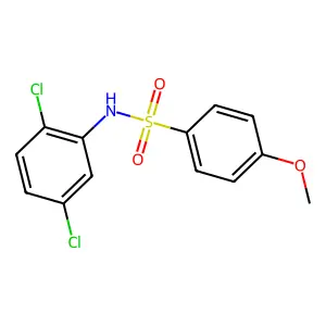 N-(2,5-dichlorophenyl)-4-methoxybenzenesulfonamide structure