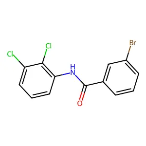 3-bromo-N-(2,3-dichlorophenyl)benzamide structure