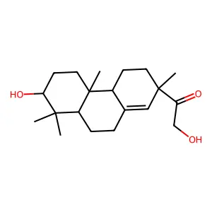 Lonchophylloid B structure
