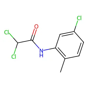 2,2-dichloro-N-(5-chloro-2-methylphenyl)acetamide structure