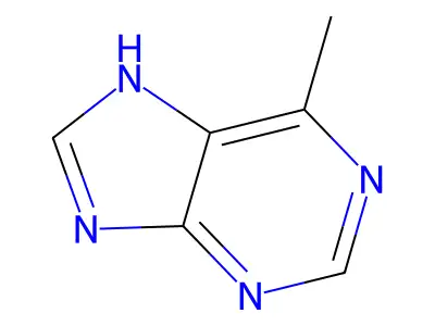 6-Methylpurine structure