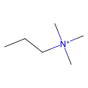 Trimethylpropylammonium structure
