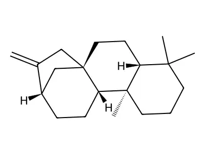 (-)-Kaur-16-ene structure