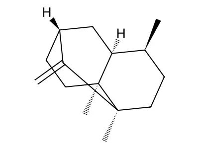 Seychellene structure