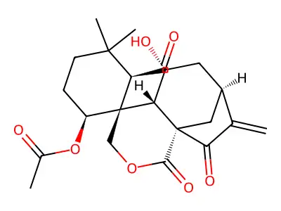 Isodonal structure