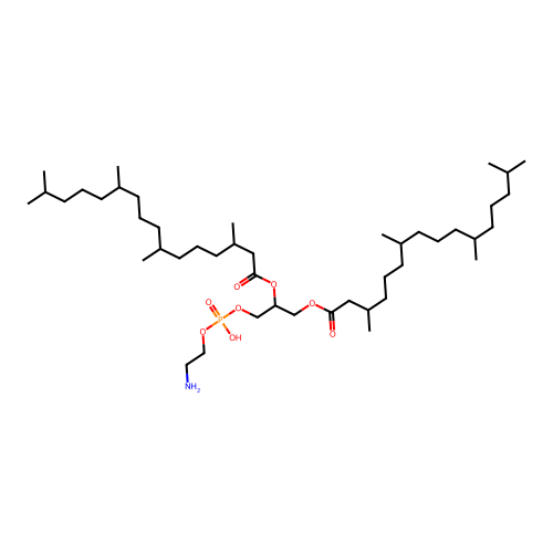DPyPE structure