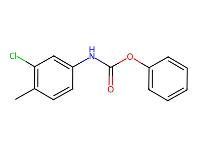 phenyl N-(3-chloro-4-methylphenyl)carbamate structure