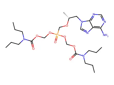 PMPA prodrug structure