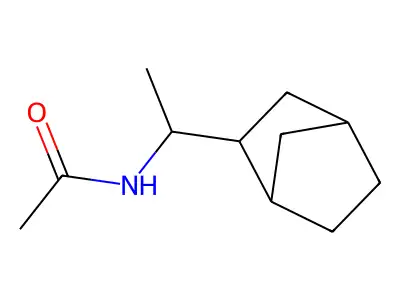 N-(1-{bicyclo[2.2.1]heptan-2-yl}ethyl)acetamide structure