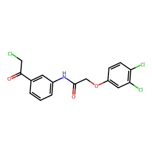 N-[3-(Chloroacetyl)phenyl]-2-(3,4-dichlorophenoxy)acetamide structure