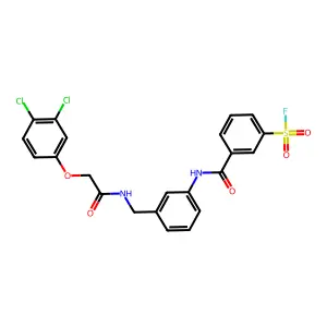 3-[[3-[[[2-(3,4-dichlorophenoxy)acetyl]amino]methyl]phenyl]carbamoyl]benzenesulfonyl fluoride structure