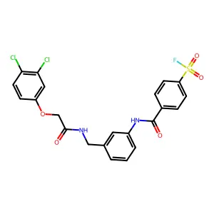 4-[[3-[[[2-(3,4-dichlorophenoxy)acetyl]amino]methyl]phenyl]carbamoyl]benzenesulfonyl fluoride structure