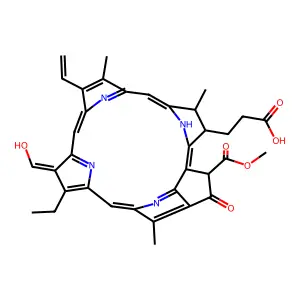 Pheophorbide b structure