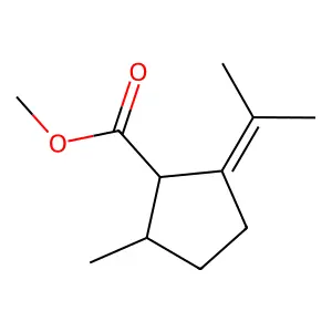 Methyl (2R)-2-Methyl-5-(propan-2-ylidene)cyclopentanecarboxylate structure