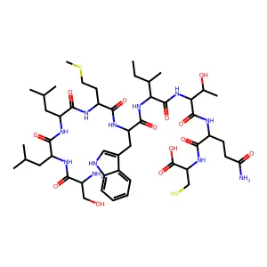 NY-ESO-1 (157 C165) peptide structure